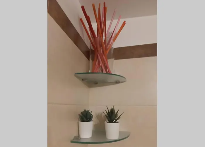 Olimpia House - Station *