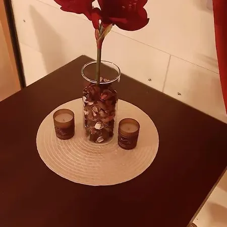 Apartment Olimpia House - Station *